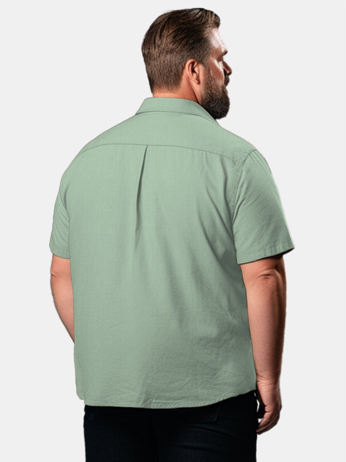 Big & Tall Hawaii Hummingbird Flower Free Seersucker Shirt