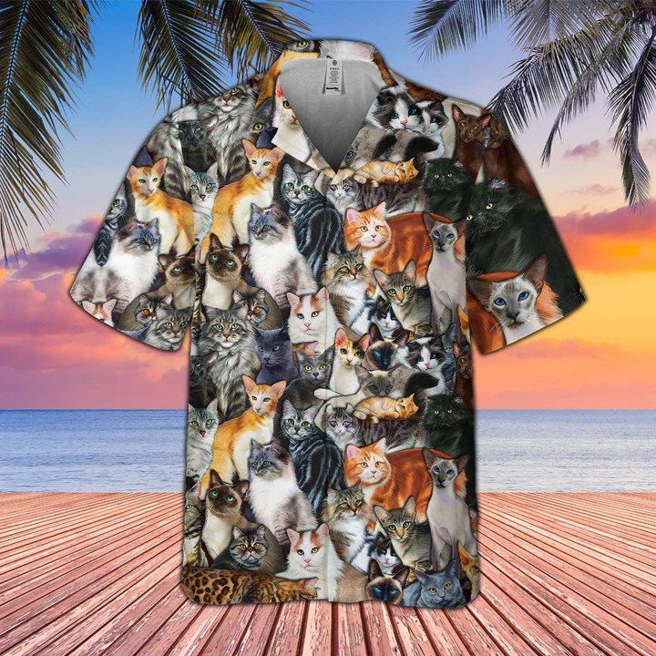 Feline Enthusiasm Display Hawaiian Shirt Perfect Cat Lovers Design