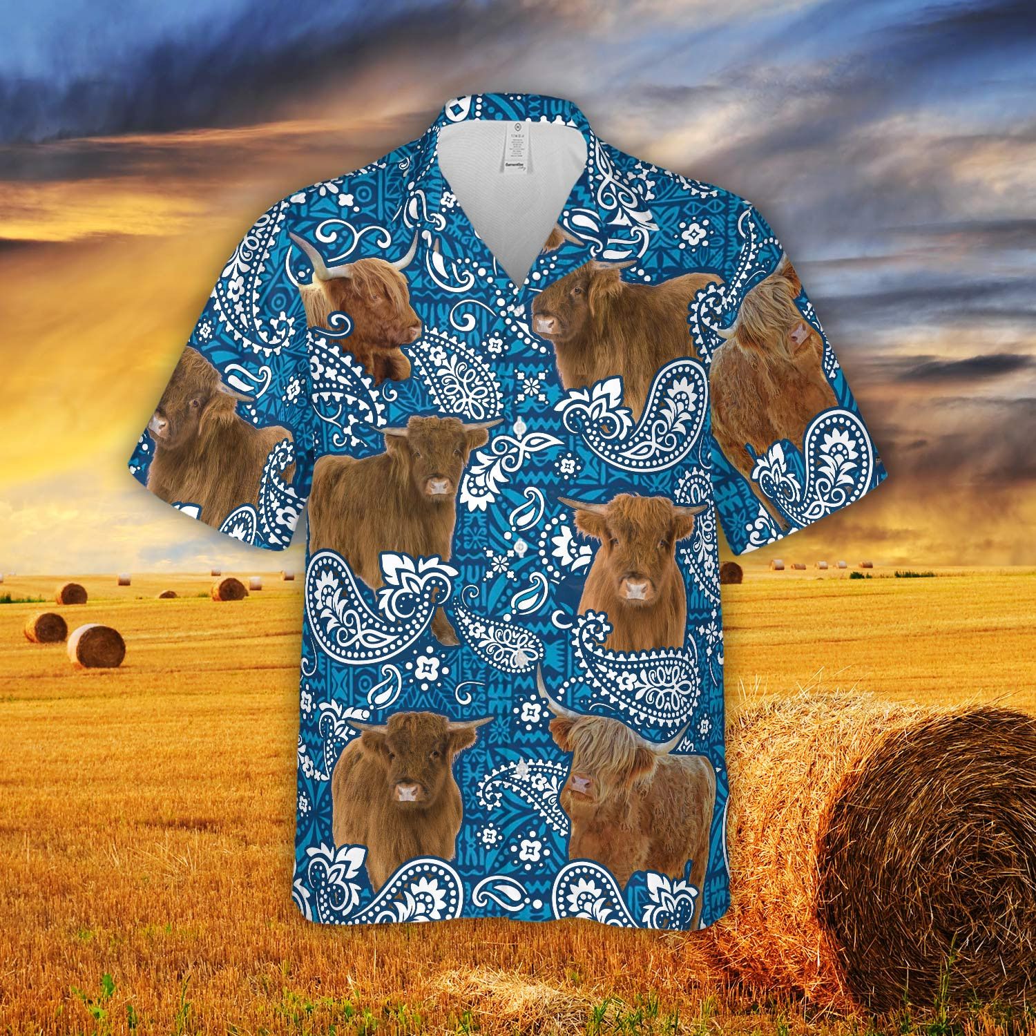 Highland Paisley Vibrant 3D Hawaiian Shirt Distinct Design
