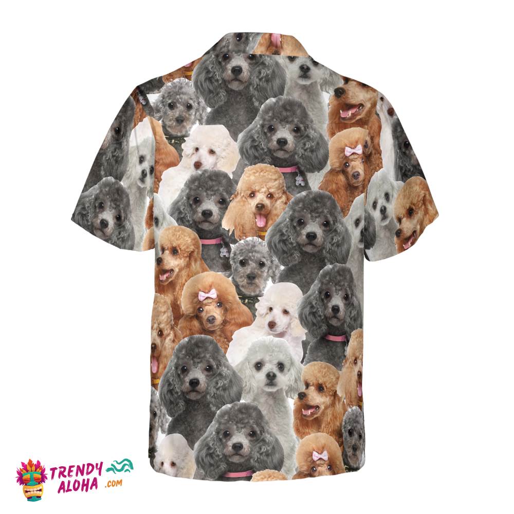 Poodles In Different Colors Poodle Hawaiian Shirt, Best Dog Shirt For Men And Women