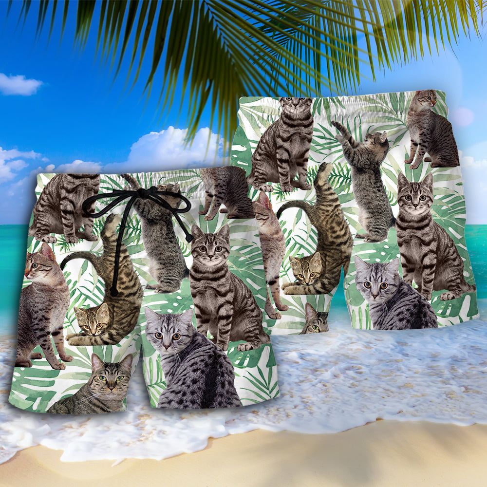 Tabby Cat Tropical Leaf Trendy Aloha Hawaiian Beach Shorts