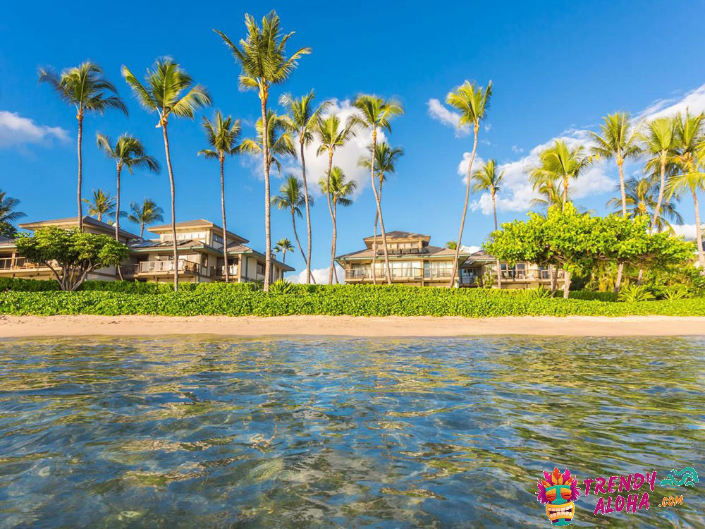 How to Have a Hawaiian Vacation Without Leaving Your Home 12 how to have a hawaiian vacation without leaving your home